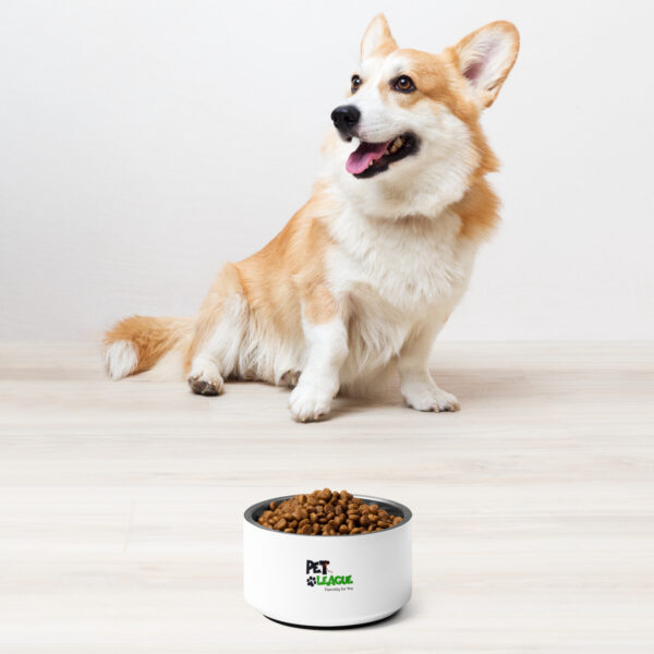 Pet bowl - Image 2
